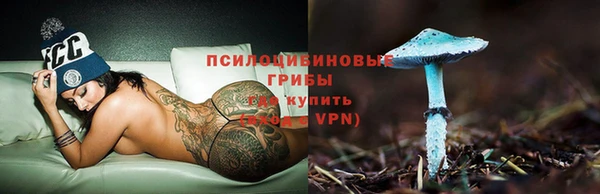 ешки Белокуриха