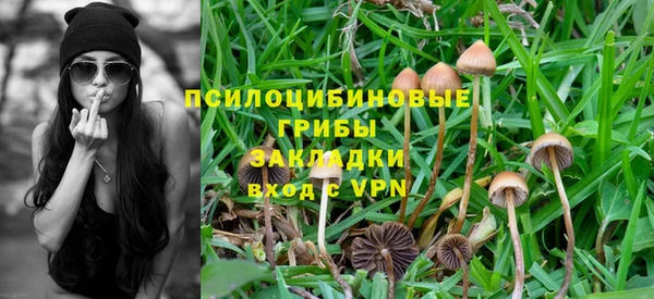ALPHA-PVP Бородино