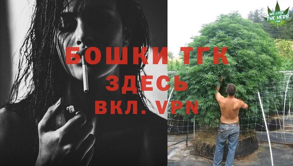 ешки Белокуриха
