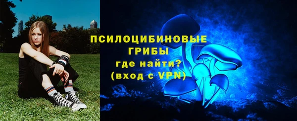 сатива Баксан