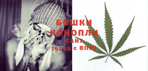 МДПВ Бронницы
