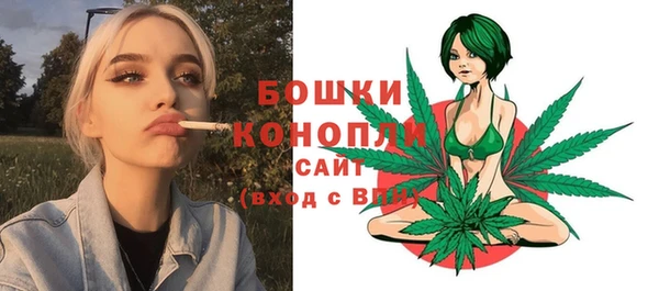 сатива Баксан